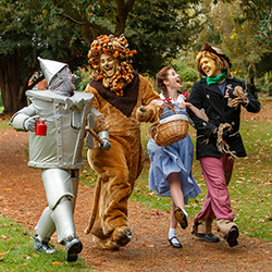 Pantomimes & Theatre Photography